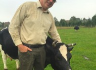 Eco-milk-farmer Hans, Mausi and the mother bonded calf rearing